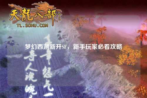 梦幻西游新开SF,新手玩家必看攻略